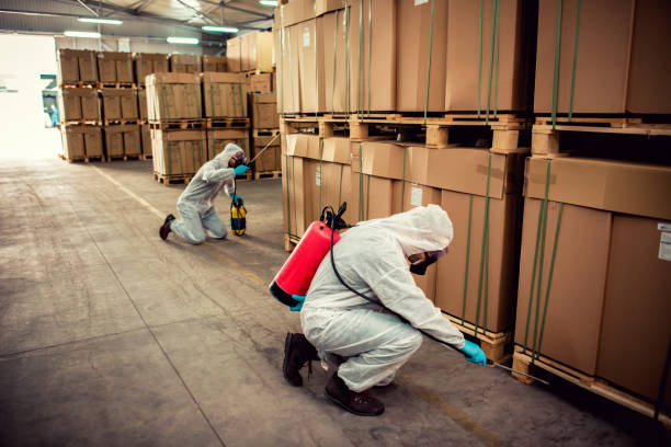 Best Cockroach Control Services  in Brices Creek, NC