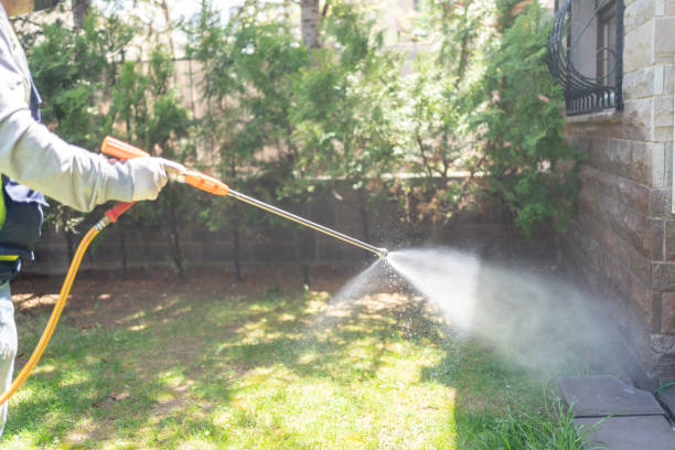 Best Best Pest Control Companies  in Brices Creek, NC