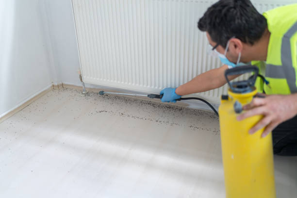 Pest Control for Restaurants in Brices Creek, NC