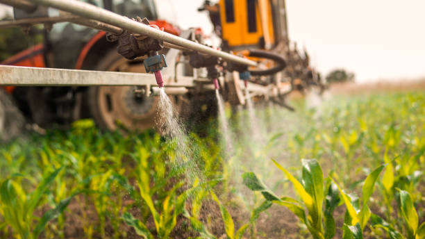 Reliable Brices Creek, NC Pest Control Solutions